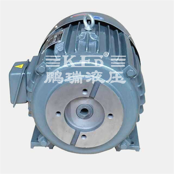 鵬瑞油泵電機 鵬瑞油泵電機